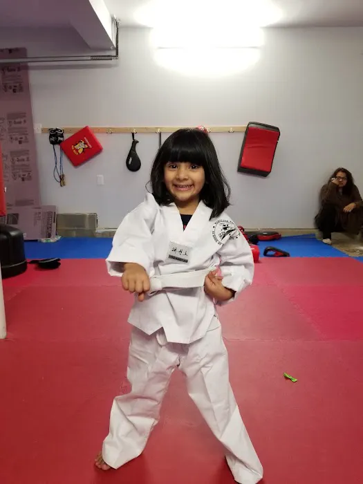 Maryland Taekwondo School Of Martial Arts Picture 1