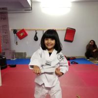 Maryland Taekwondo School Of Martial Arts ico