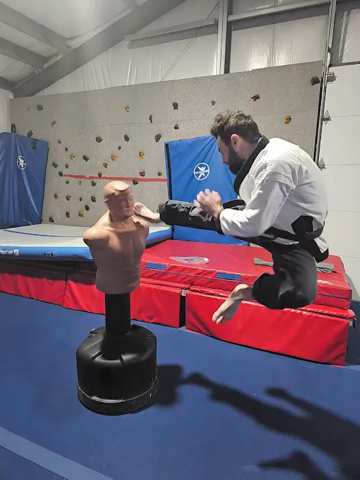 Taekwondo ink Picture 2