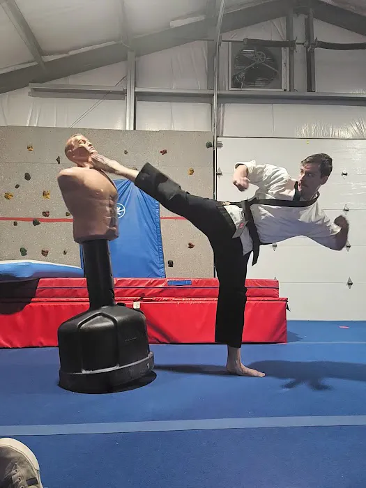 Taekwondo ink Picture 3