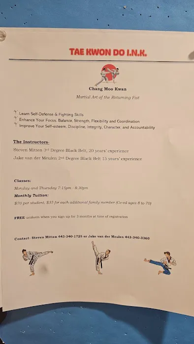 Taekwondo ink Picture 5