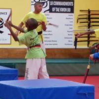 Ks White Tiger Martial Arts ico