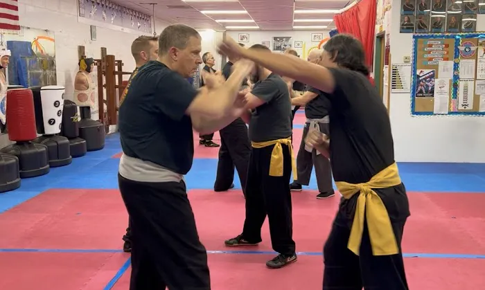 Wing Chun Kung Fu - Close Range Combat Picture 5