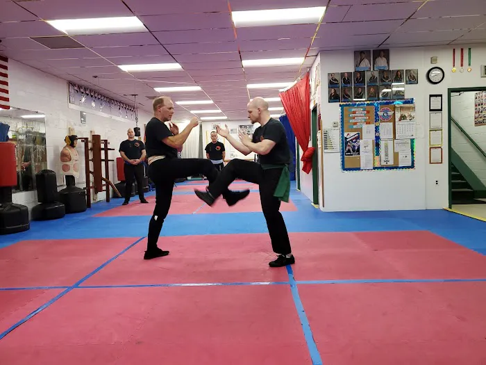 Wing Chun Kung Fu - Close Range Combat Picture 4
