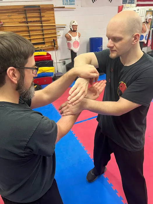 Wing Chun Kung Fu - Close Range Combat Picture 6