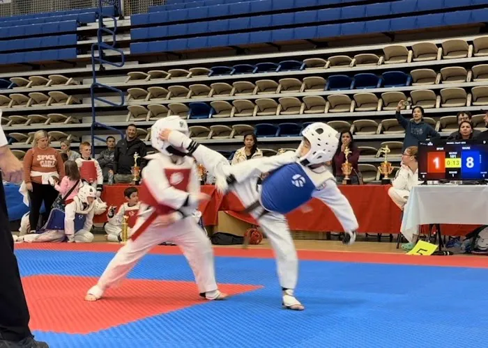 JS Taekwondo Picture 8