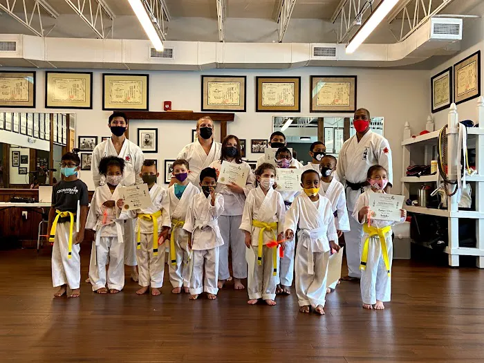 The Okinawan Karate Dojo, Ellicott City Picture 2