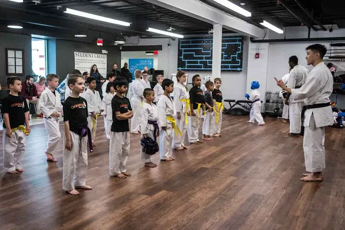 The Okinawan Karate Dojo, Ellicott City Picture 7