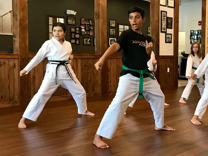 The Okinawan Karate Dojo, Ellicott City Picture 10