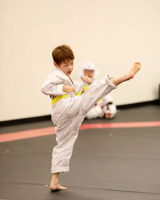 S Martial Arts (SMA) Pro Picture 2