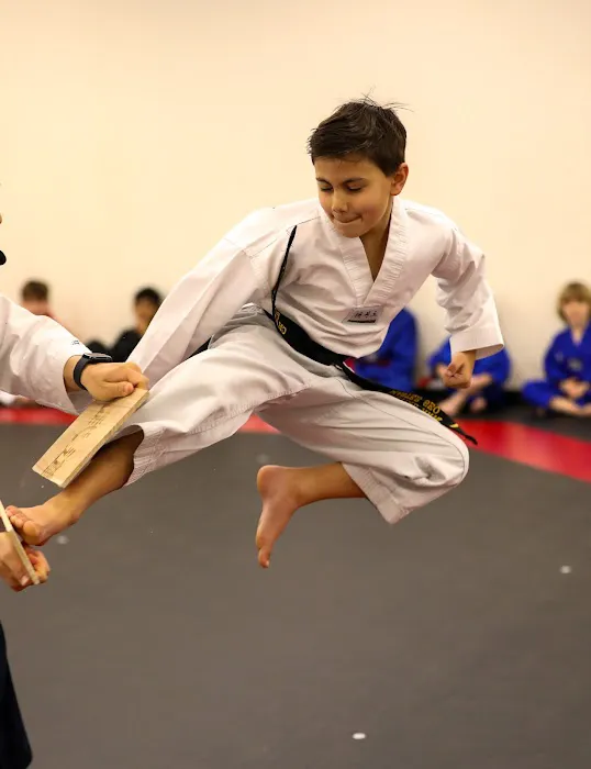 S Martial Arts (SMA) Pro Picture 4