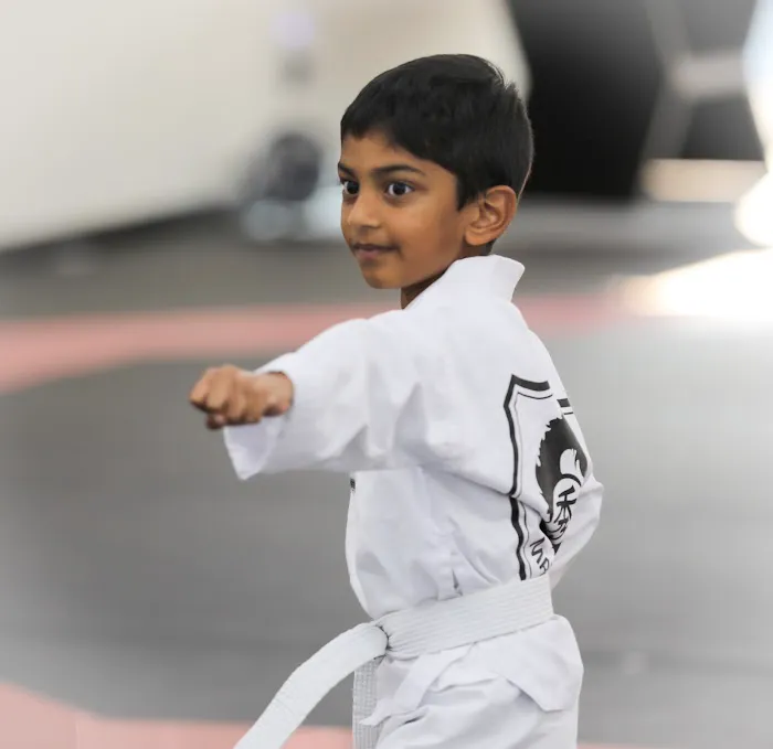 S Martial Arts (SMA) Pro Picture 10