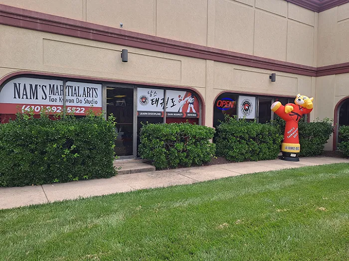 NAM'S Taekwondo USA Picture 2