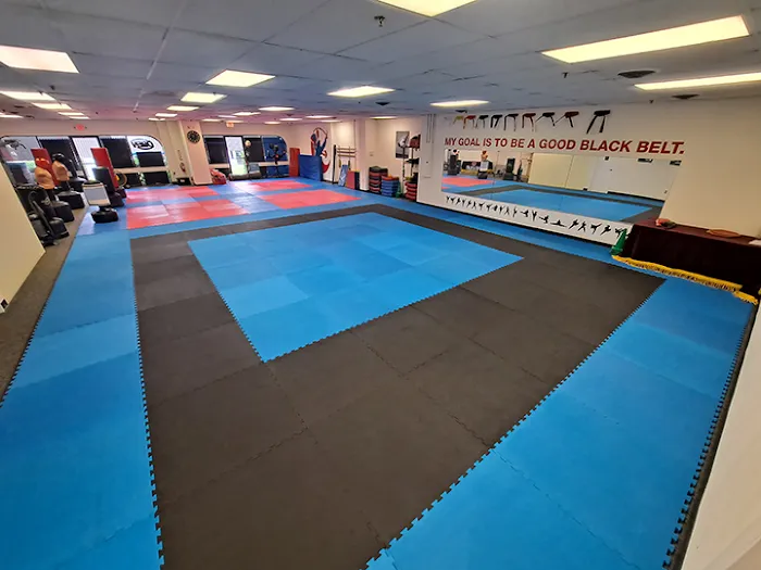 NAM'S Taekwondo USA Picture 4