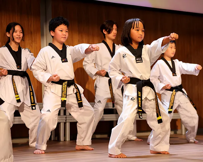 NAM'S Taekwondo USA Picture 5