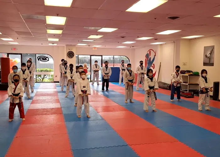 NAM'S Taekwondo USA Picture 9