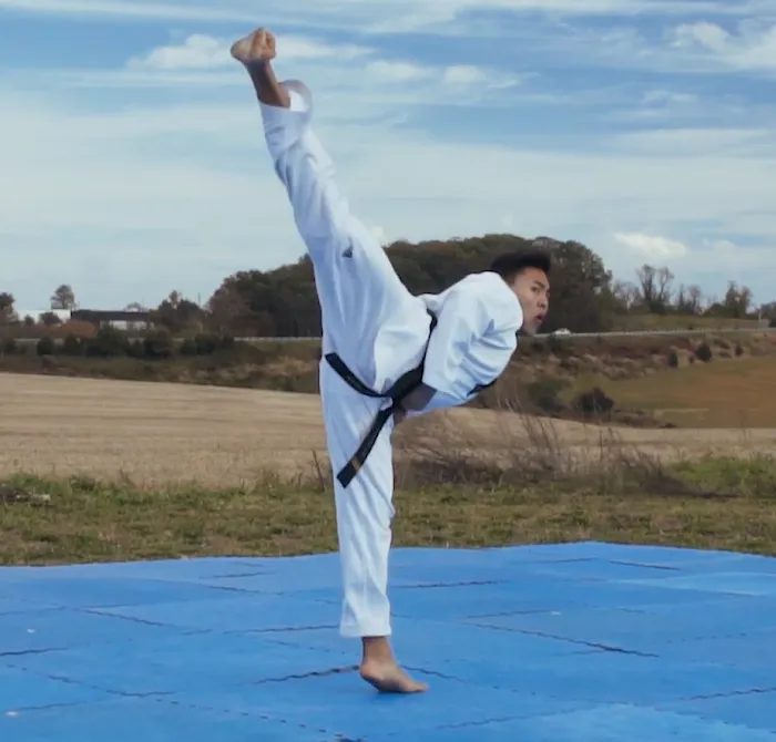 Alpha Martial Arts Academy Picture 3