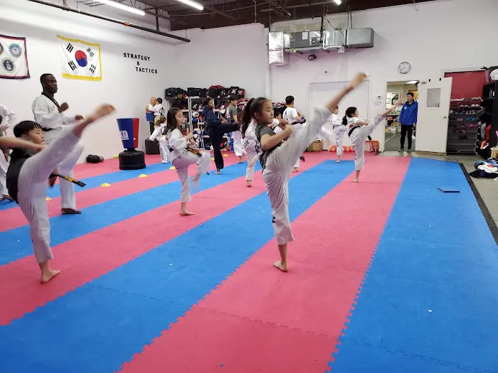 Alpha Martial Arts Academy Picture 4