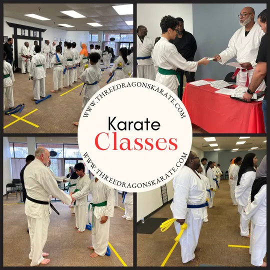 Three Dragons Karate Picture 2