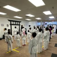 Three Dragons Karate ico