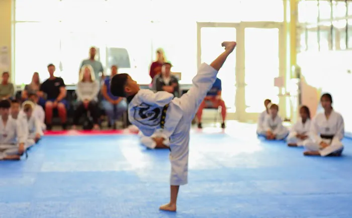 S Martial Arts (SMA) Picture 8