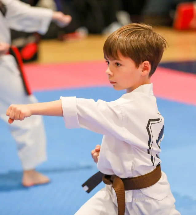 S Martial Arts (SMA) Picture 10