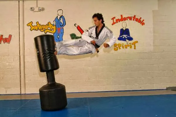 Wilde Lake Karate & Learning Center Picture 3