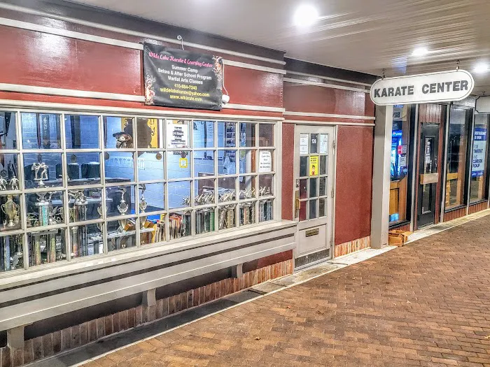 Wilde Lake Karate & Learning Center Picture 8