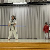 Victory Martial Arts ico