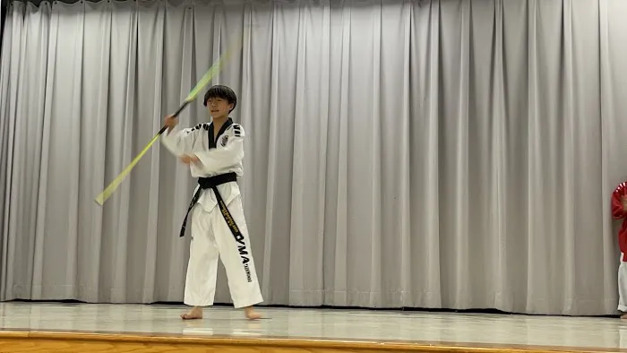 Victory Martial Arts Picture 4