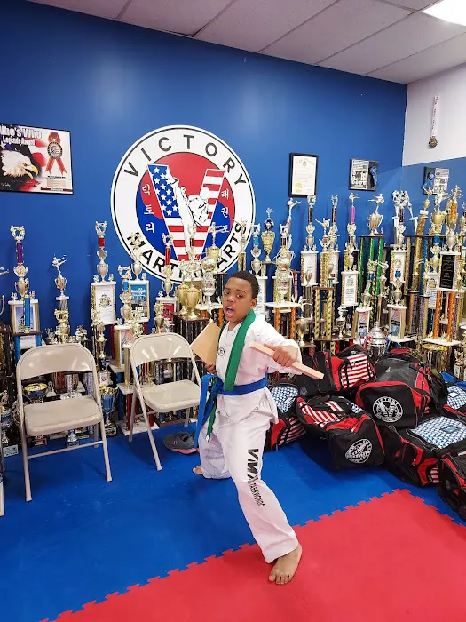 Victory Martial Arts Picture 6