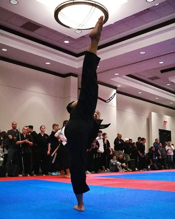 Victory Martial Arts Picture 9