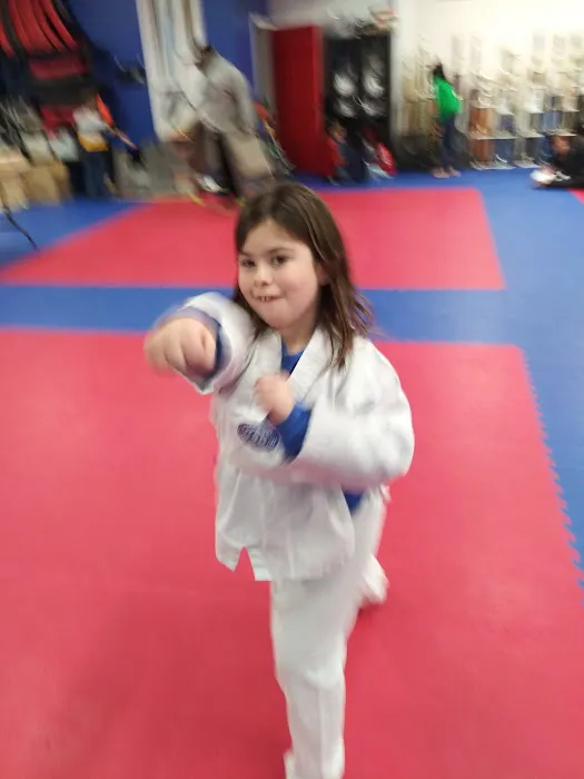 Victory Martial Arts Picture 10