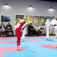 PARK'S MARTIAL ARTS USA INC. ico
