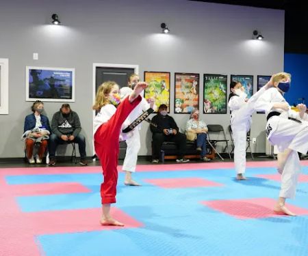 PARK'S MARTIAL ARTS USA INC.