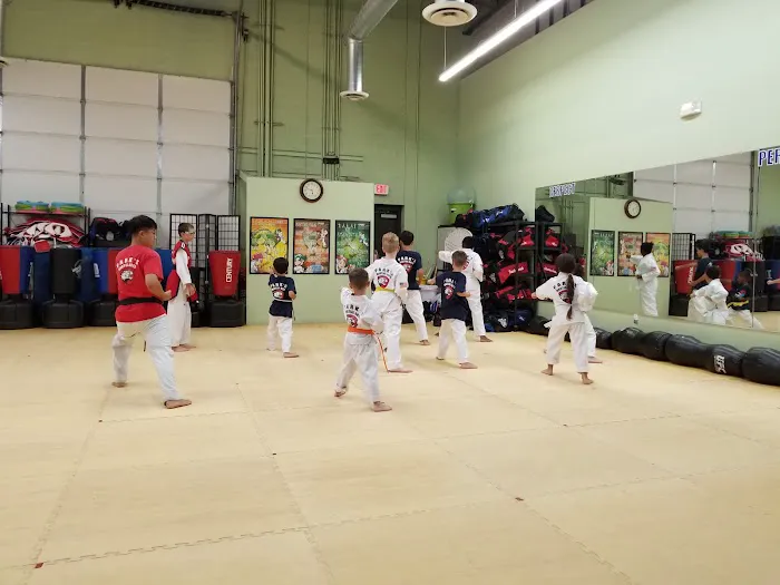 PARK'S MARTIAL ARTS USA INC. Picture 4