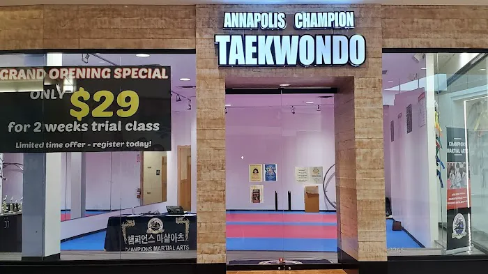 Champions Martial Arts Annapolis Picture 3