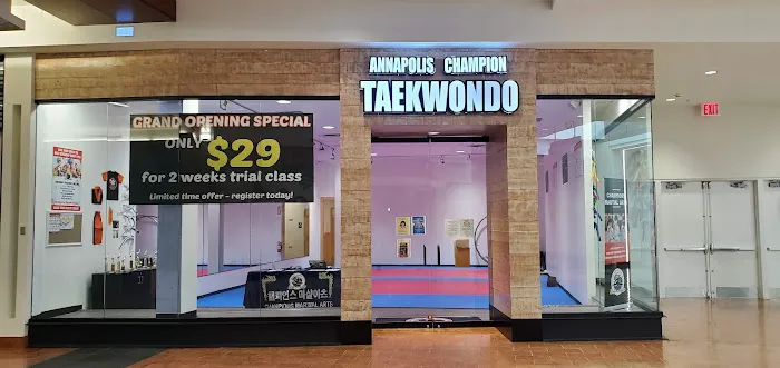 Champions Martial Arts Annapolis Picture 5