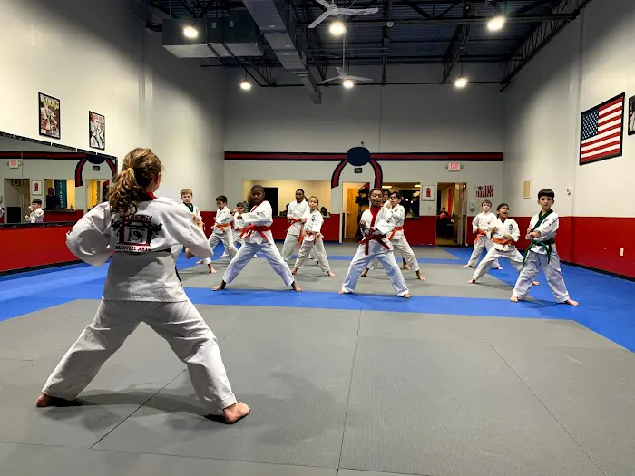 Synergy Martial Arts Picture 1