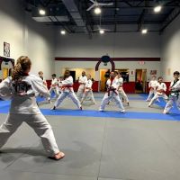 Synergy Martial Arts ico