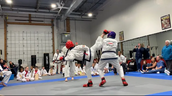 Synergy Martial Arts Picture 9