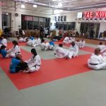 Lee’s Taekwondo Martial Arts