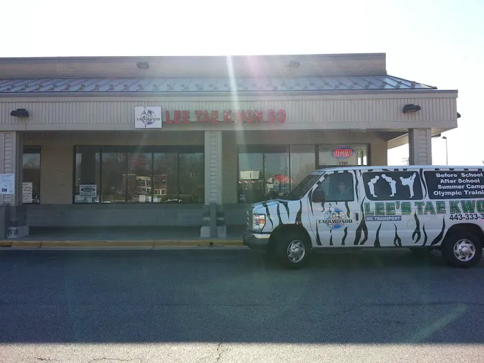 Lee’s Taekwondo Martial Arts Picture 4