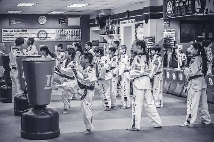 Lion Choi's Taekwondo (Martial Arts Lessons / After-School Care / Summer Camp) Picture 4