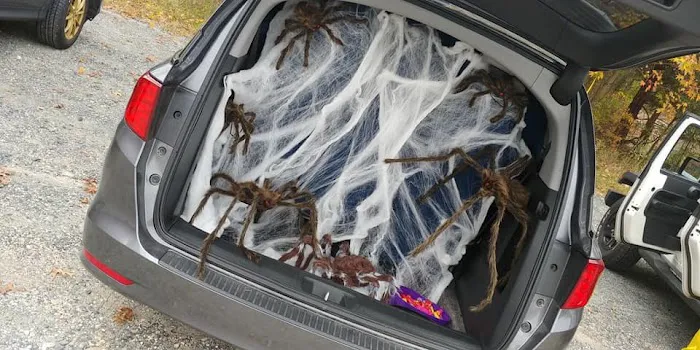 Lion Choi's Taekwondo (Martial Arts Lessons / After-School Care / Summer Camp) Picture 8