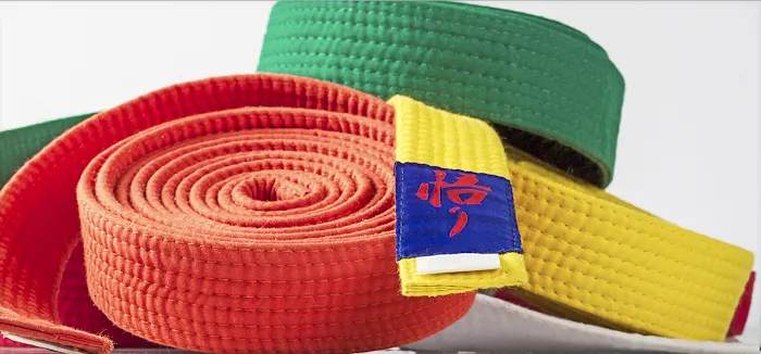 Kim's Karate and Learning Center Picture 3