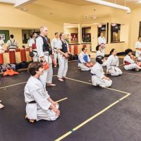 Warriors of Grace Karate ico