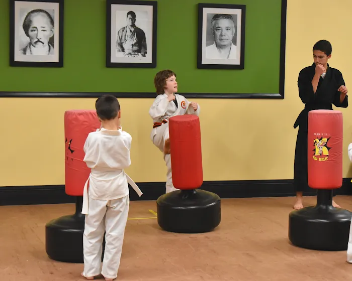 Warriors of Grace Karate Picture 5