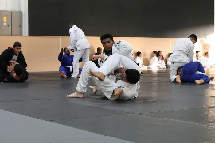 Crazy 88 Mixed Martial Arts Picture 9