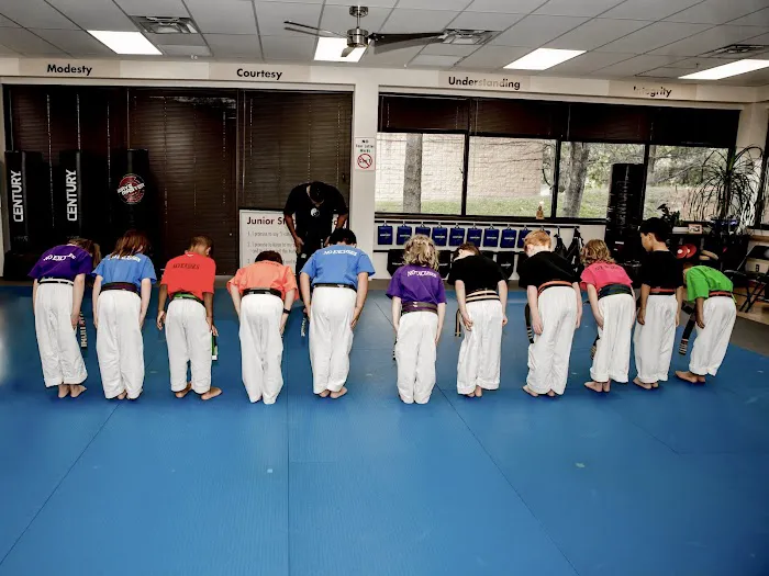 Nabaiee's Family Martial Arts Picture 4